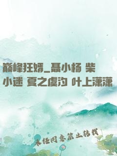 巅峰狂婿